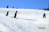 IMG_7956.JPG