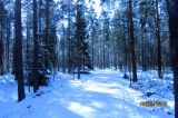 IMG_1589.JPG