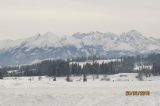 IMG_1654_--_kopia.JPG