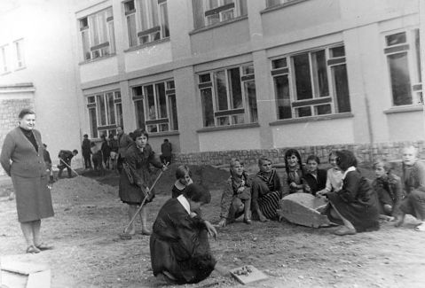 Kliknij aby zobaczyć pełny rozmiar