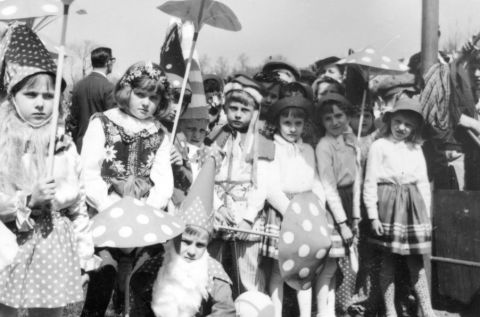 Kliknij aby zobaczyć pełny rozmiar